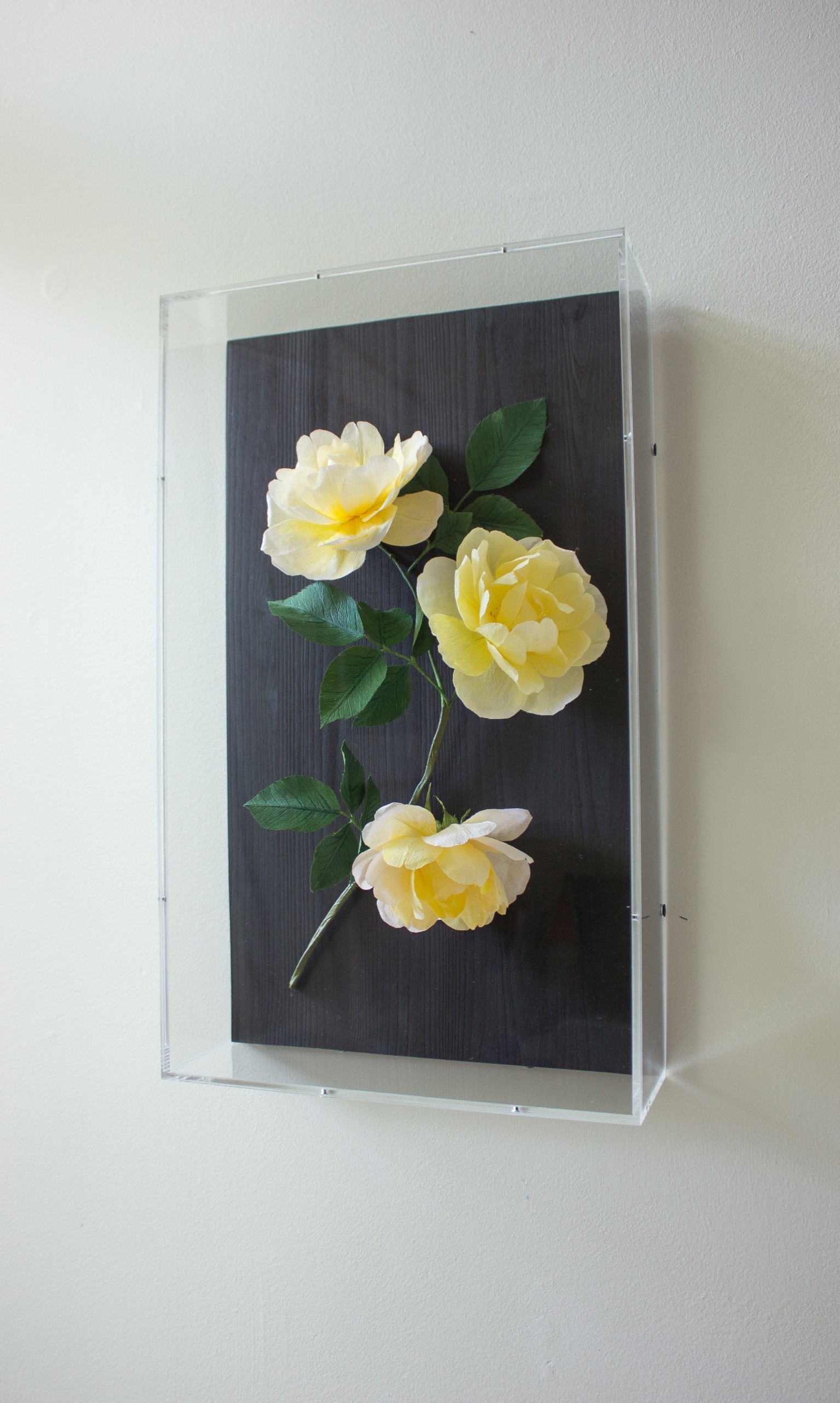 Three paper roses in golden yellow with dark green leaves. Mounted on dark wood and set in an acrylic case hung on the wall