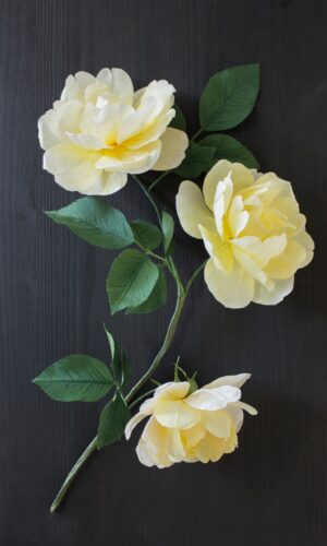 Close up of three paper roses in golden yellow with dark green leaves. Mounted on dark wood and set in an acrylic case