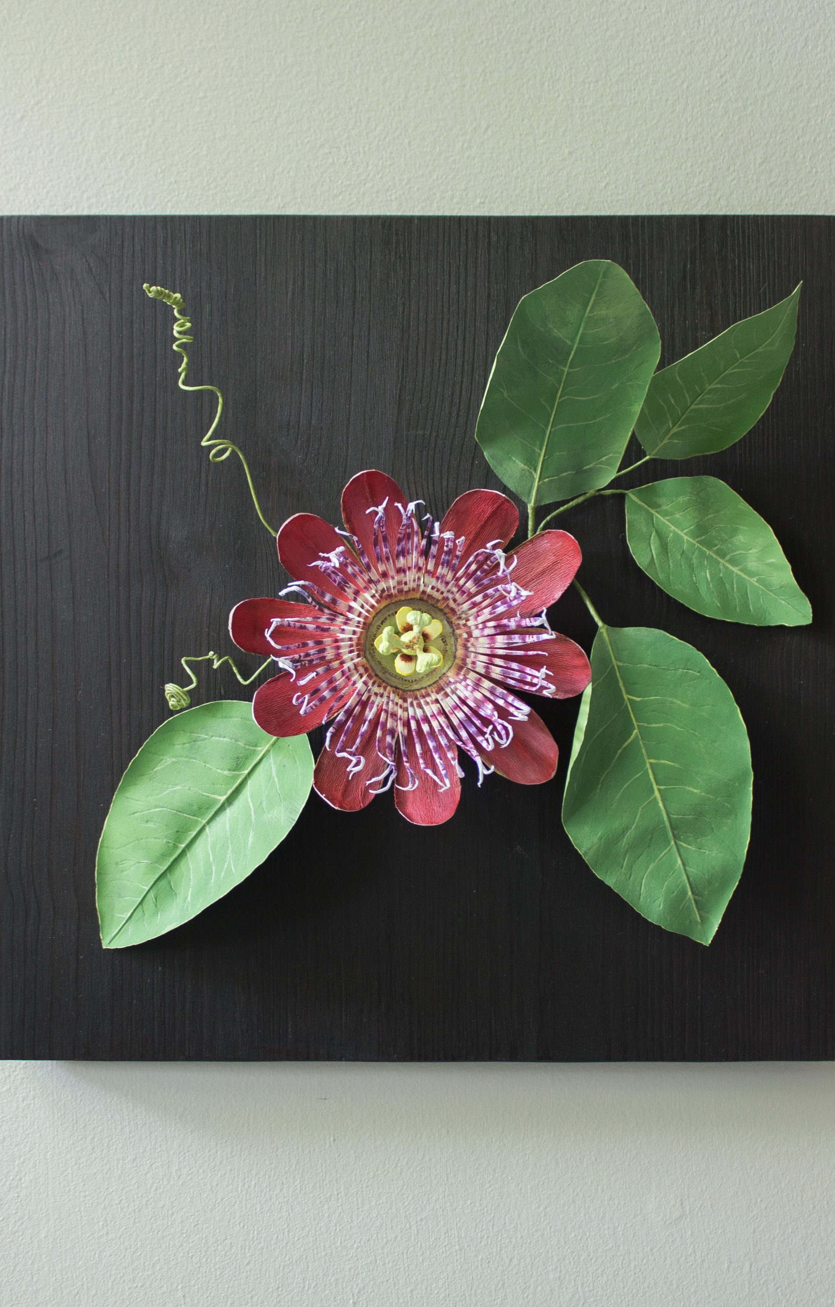 Paper passion flower in red with bright green leaves and spiralling tendrils on a square dark wood back in an acrylic case and hung on a wall.