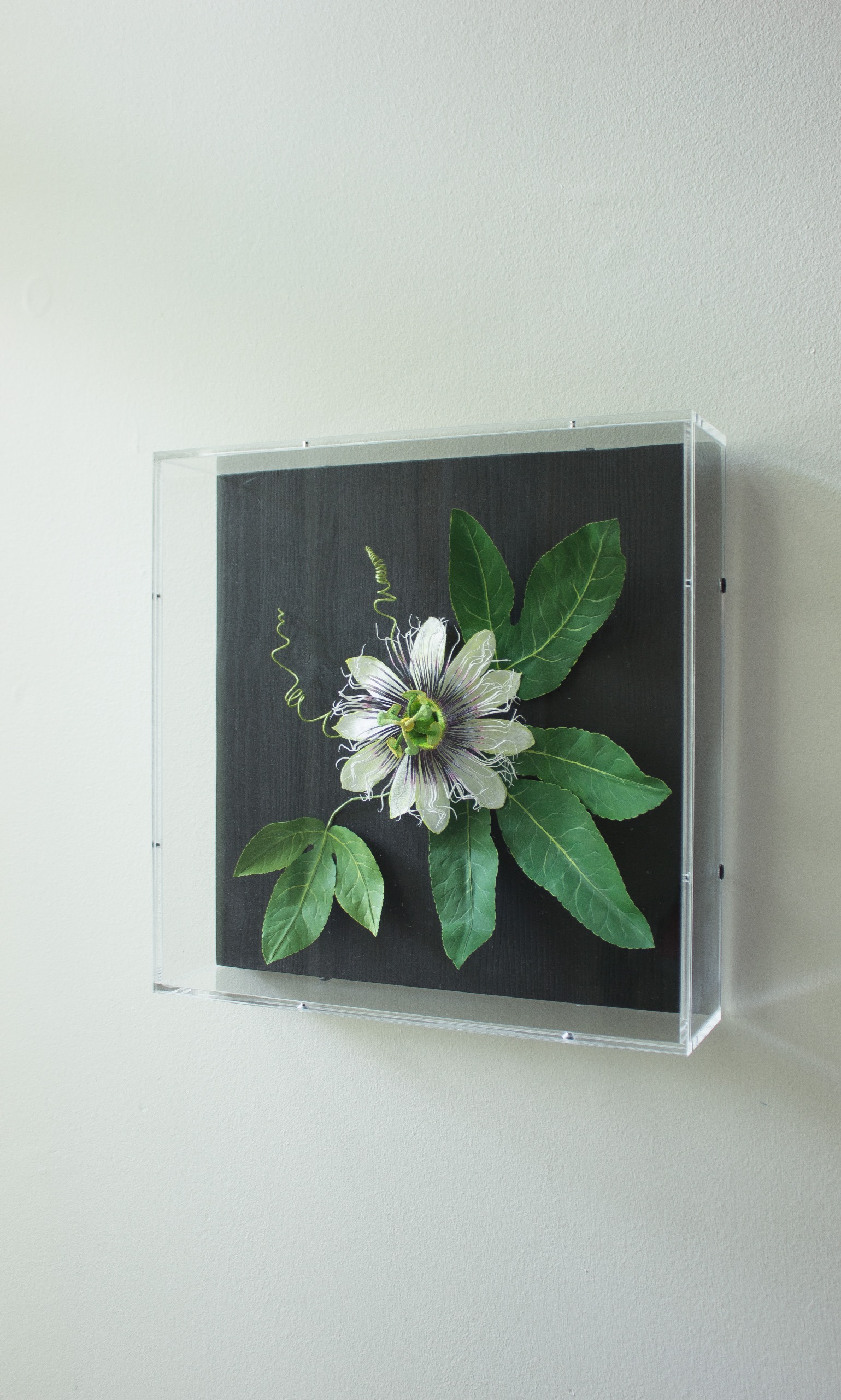 Paper passion flower with pale green petals purple curly and spikey centre, bright green leaves and spiralling tendrils on a square dark wood back, hung on a wall.