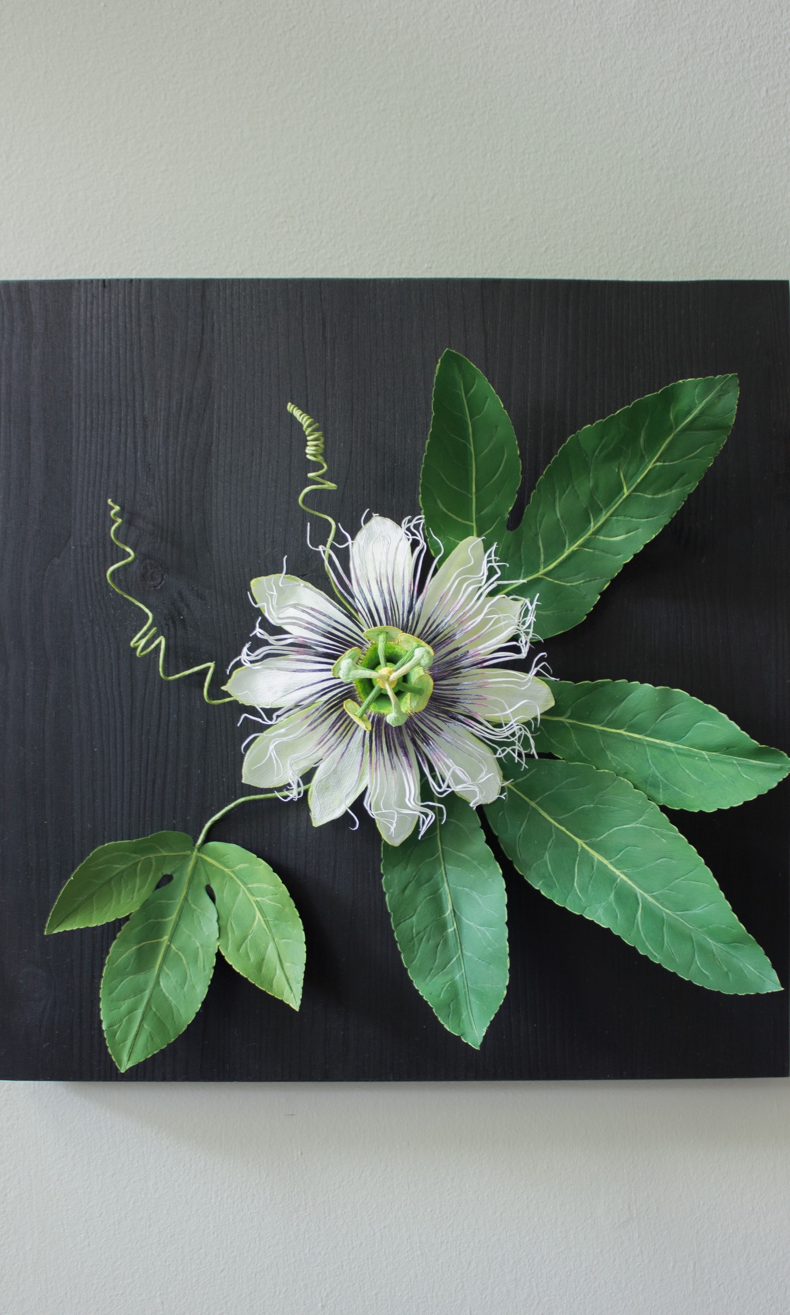Close up of a paper passion flower with pale green petals purple curly and spikey centre, bright green leaves and spiralling tendrils on a square dark wood back.