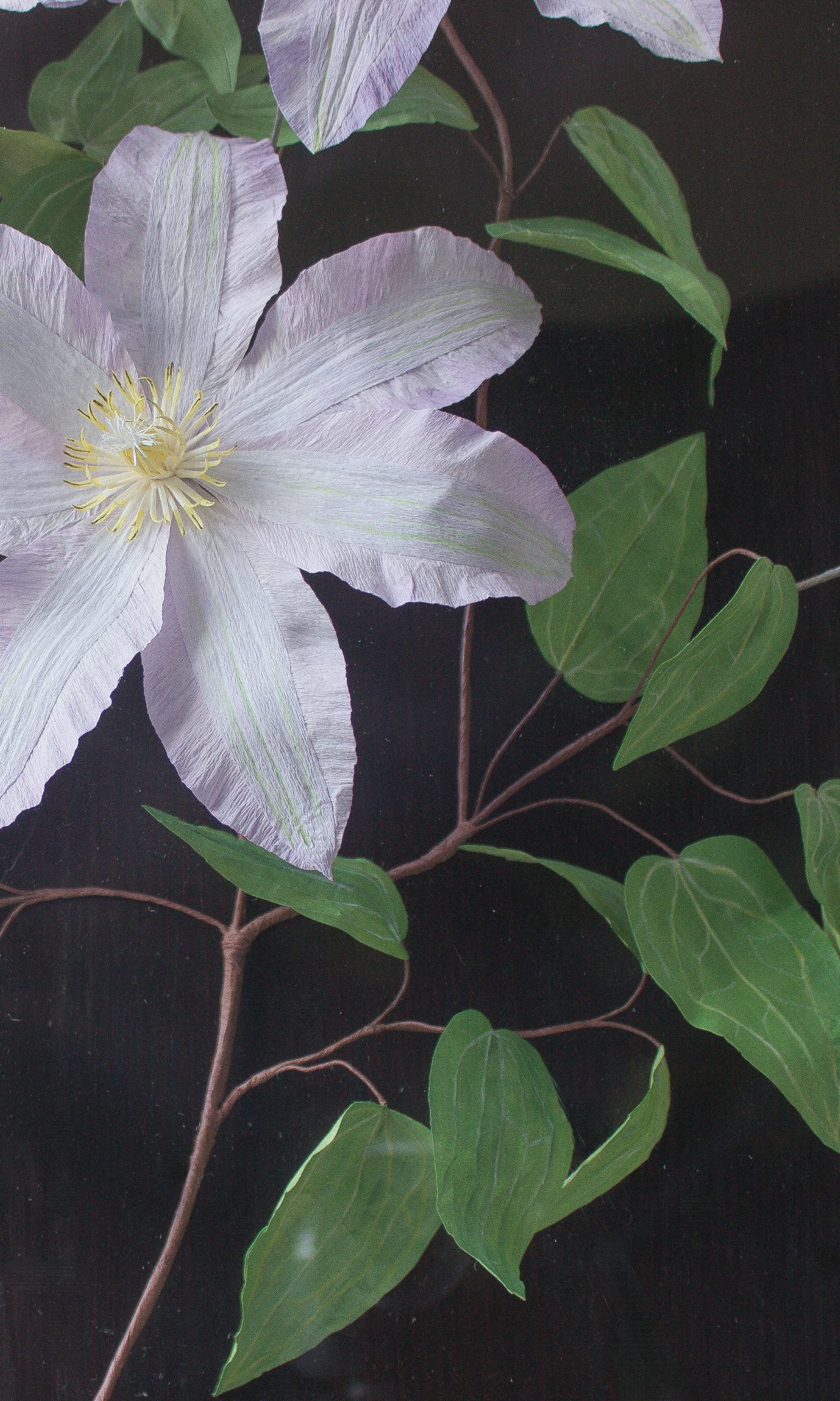 Handmade Lilac paper clematis flowers, buds and green leaves fixed to a dark wood background in an acrylic case hung on a wall. Close up detail shows the yellow stamen and crinkle in the paper petals.