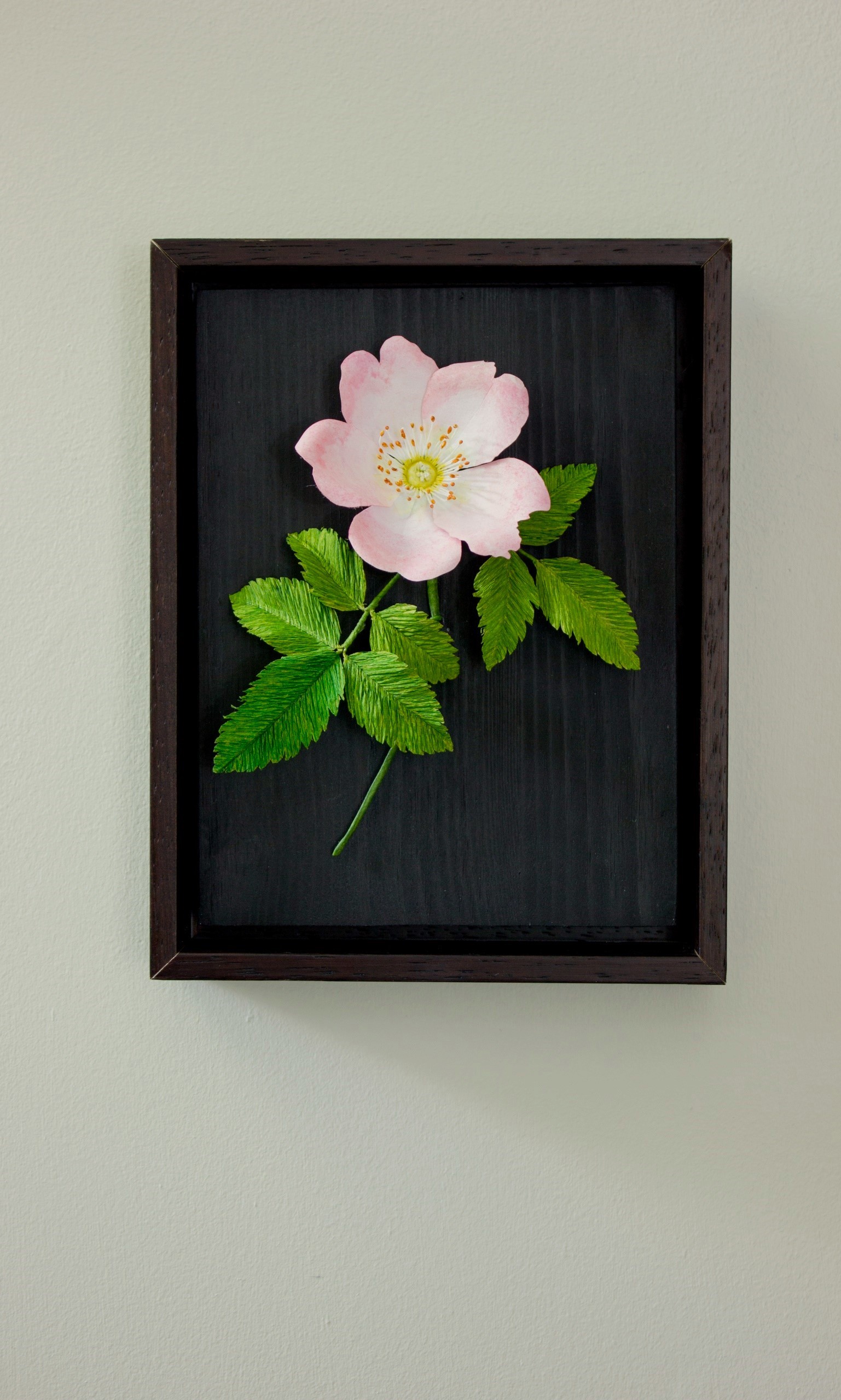 Paper dog rose with pale pink petals and bushy paper leaves. Mounted on dark wood.