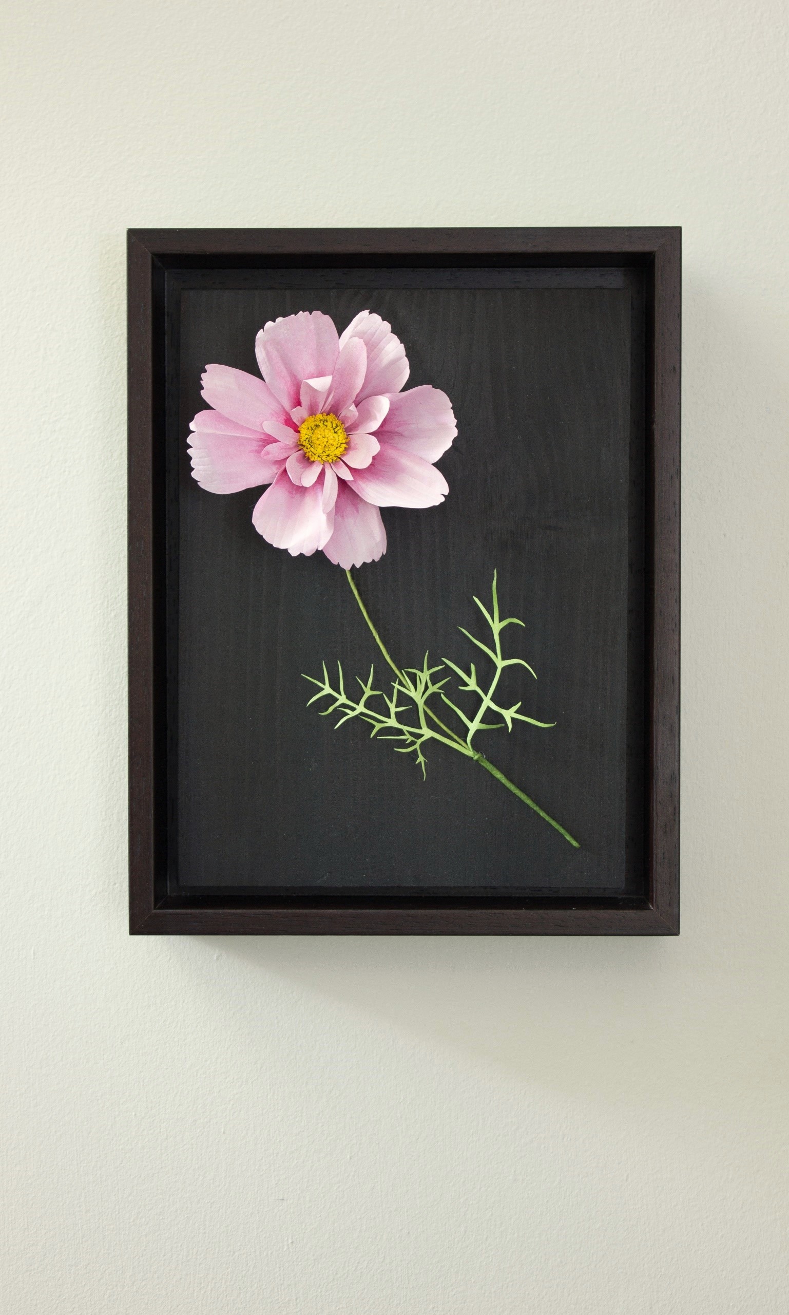 Paper pink cosmos mounted on dark wood, in a dark brown frame and hung on a wall