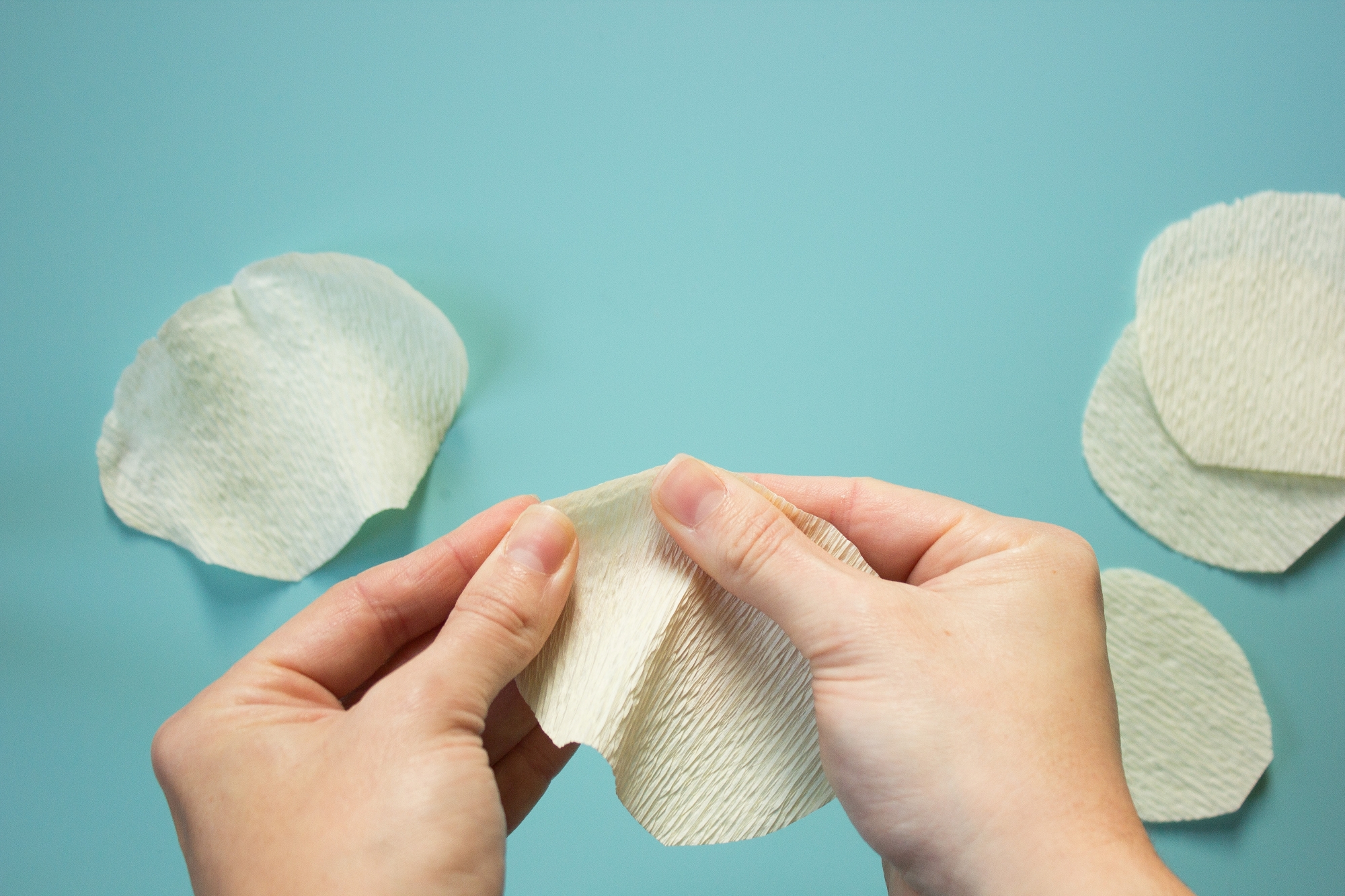 Paper poppy petals