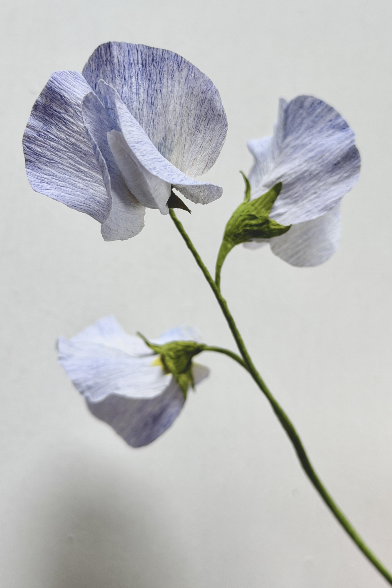 close up of handmade paper sweet pea in pale blue