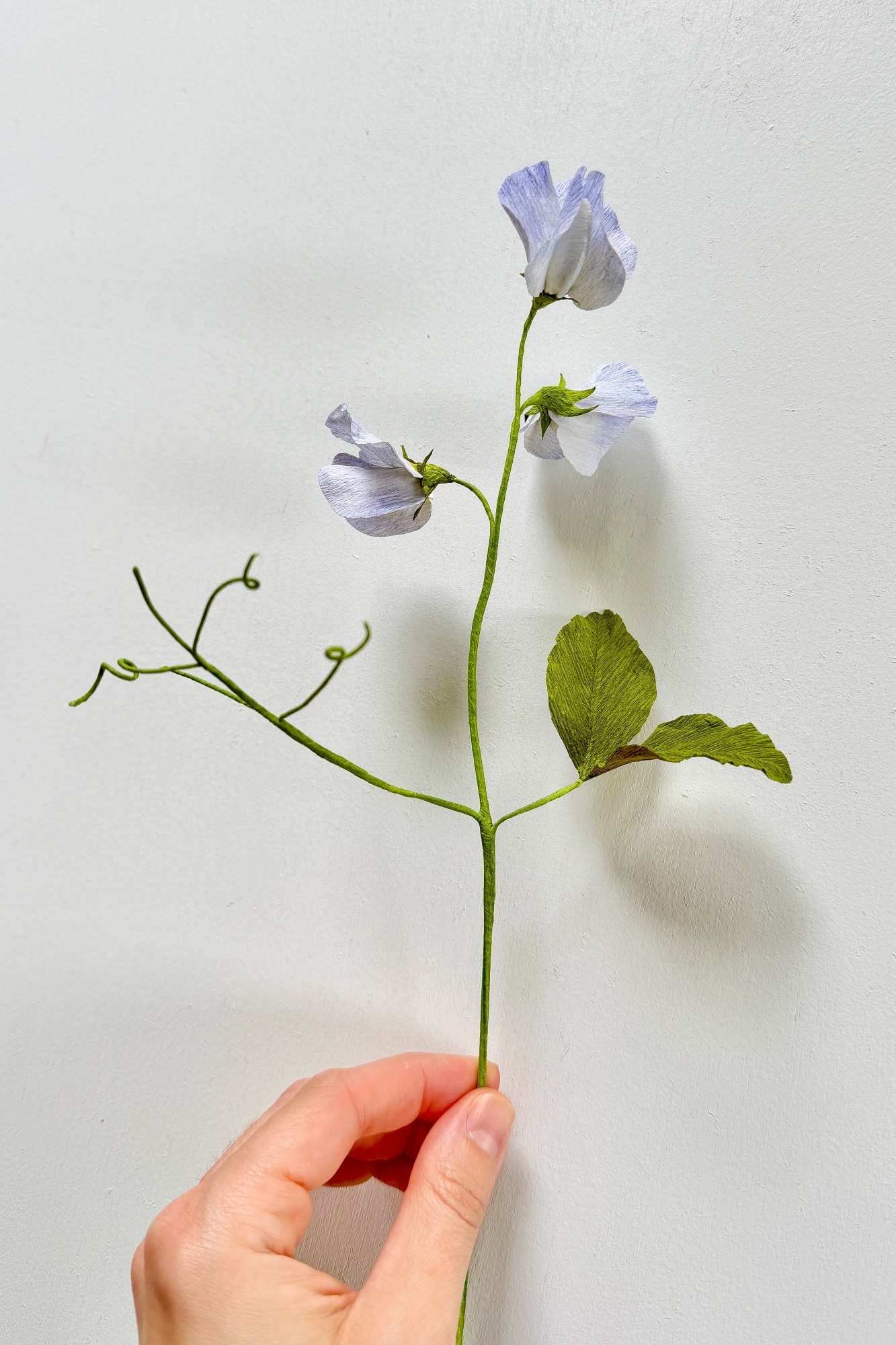 hand made paper sweet pea in pale blue being held
