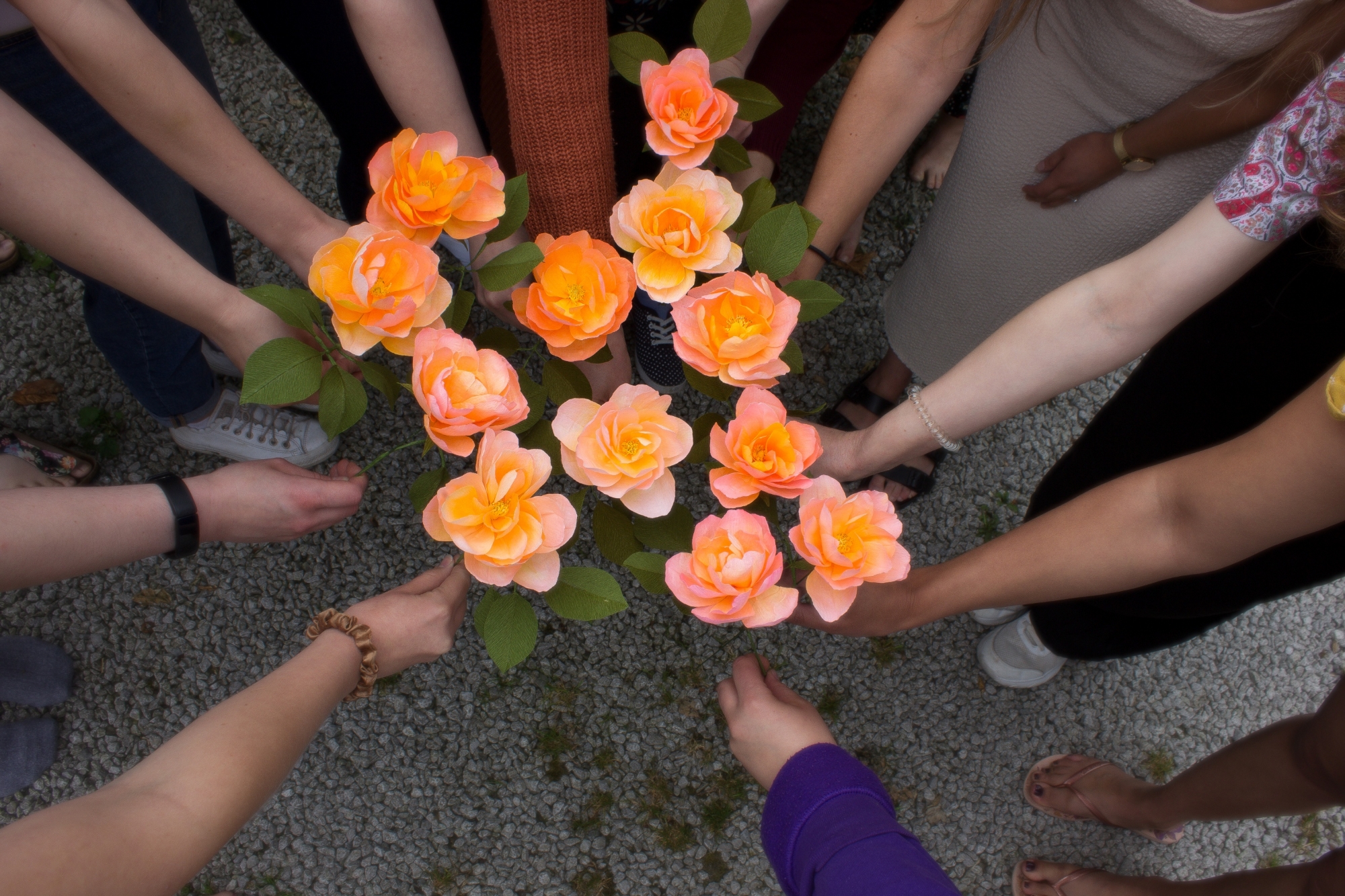Bunch of paper rose stems held together in the middle by many hands