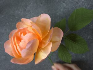 Orange paper rose with leaves