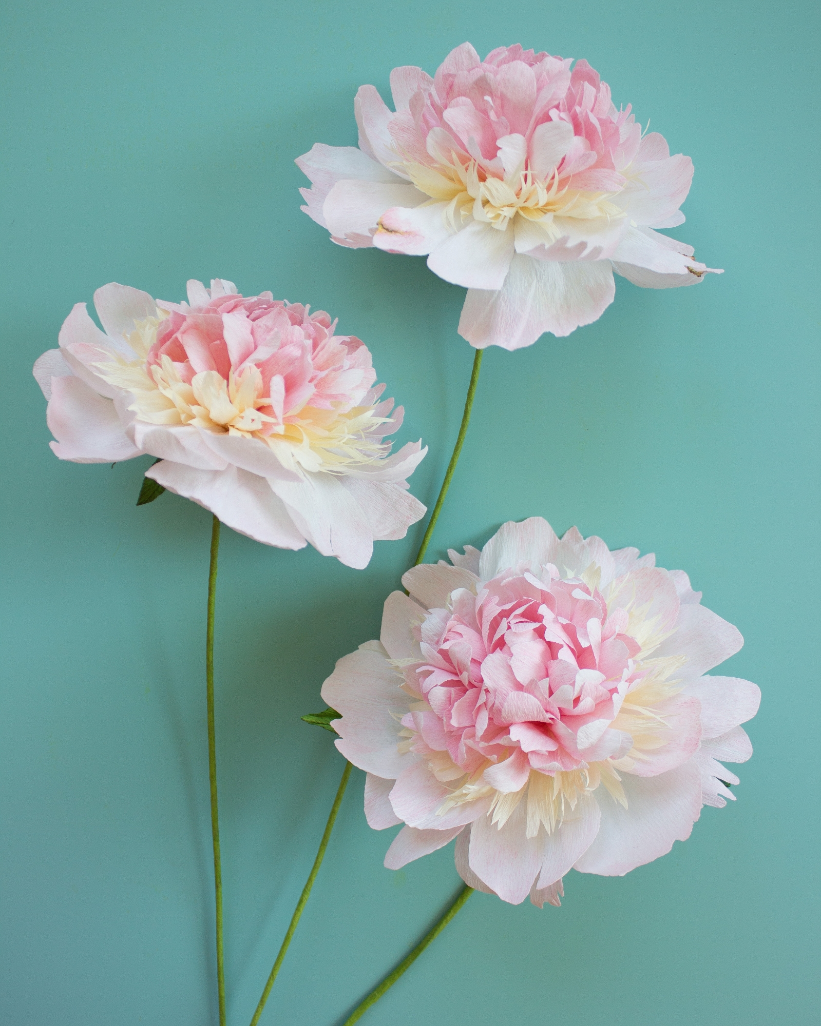 three paper peonies in pink, white and cream