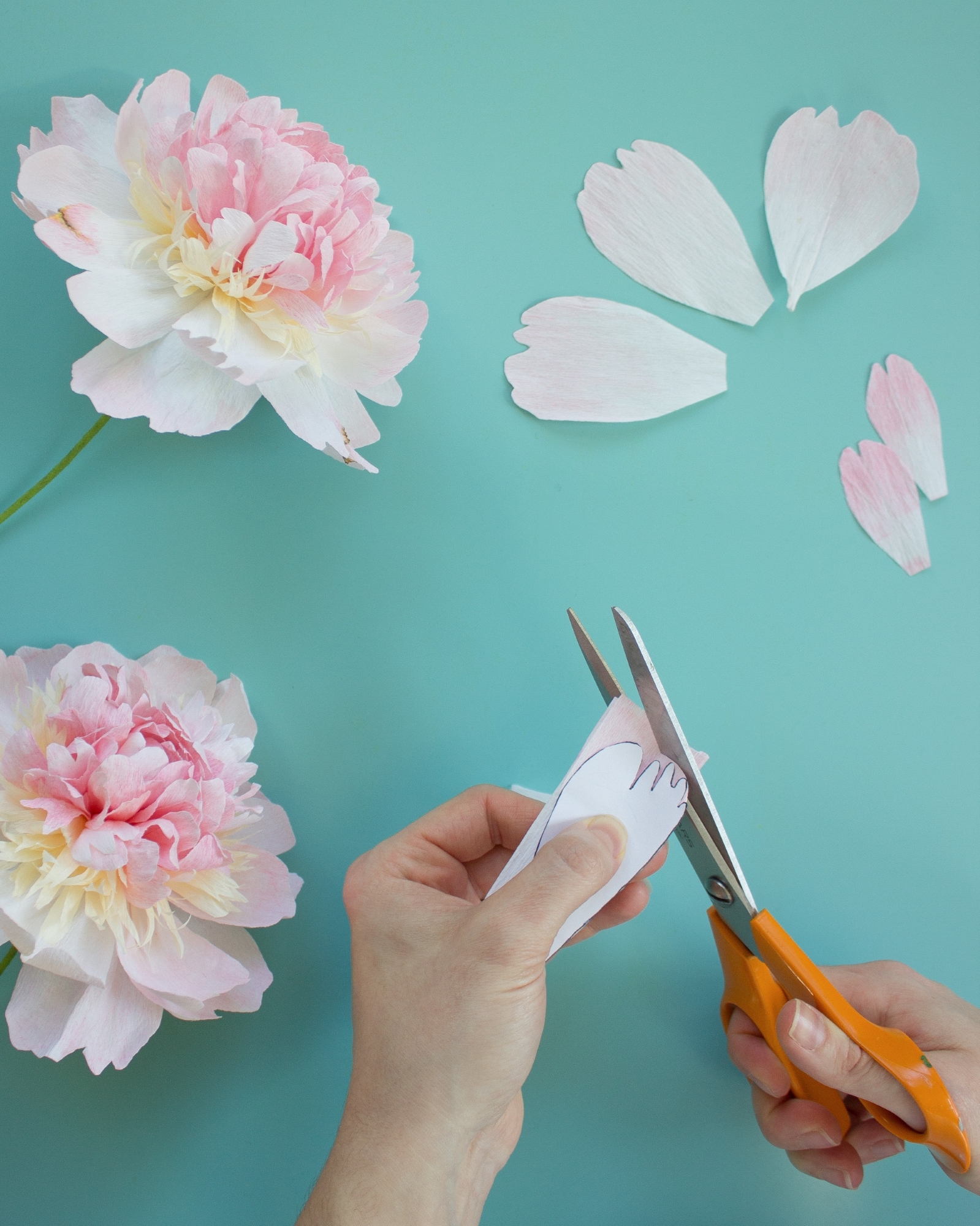 peony petals being cut around a template